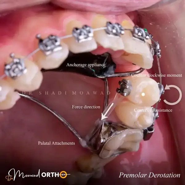 Digital modern orthodontic clinic